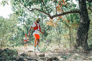 BIB: 
                            <button type="button" onclick="openModal(26088825)" class="btn btn-primary btn-sm float-right btn-popup" data-toggle="modal" data-target=".modal-high-quality">
                        <i class="fas fa-shopping-cart"></i> Add to Cart
                    </button>
                                            <button type="button" onclick="isThisMe(26088825, true)" class="btn btn-success btn-sm float-right btn-popup btn-isme hidden" data-toggle="tooltip" data-placement="bottom" title="นี่คือรูปของคุณใช่ไหม คลิกที่นี่เพื่อเอาเข้าอัลบั้ม">
                        <i class="fas fa-plus"></i> Add to album
                    </button>
                    <button type="button" onclick="isThisMe(26088825, false)" class="btn btn-warning btn-sm float-right btn-popup btn-isnotme hidden">
                        <i class="fas fa-ban"></i> Remove from album
                    </button>